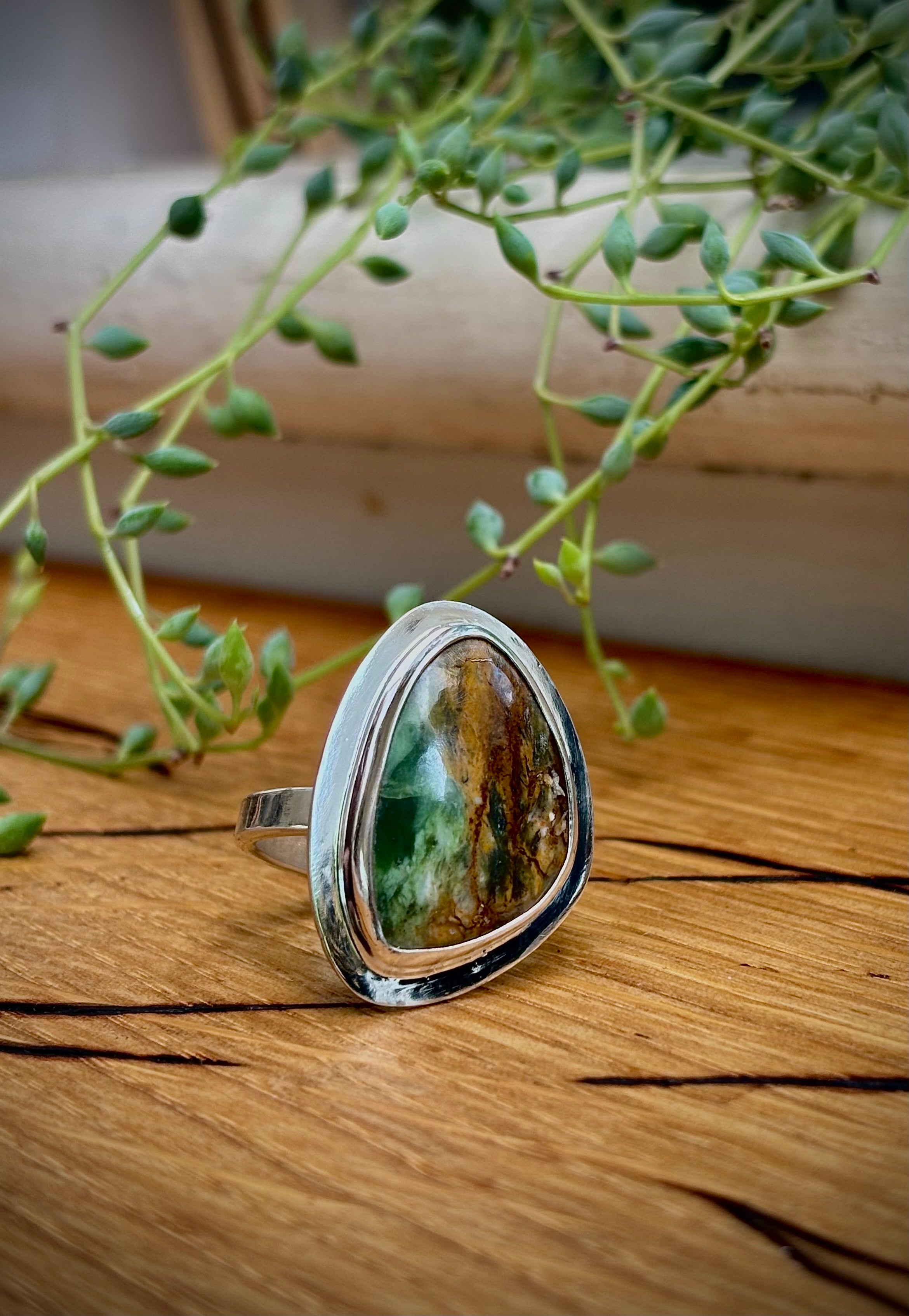 The Earth Scape Ring