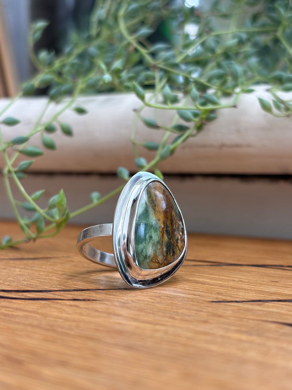 The Earth Scape Ring